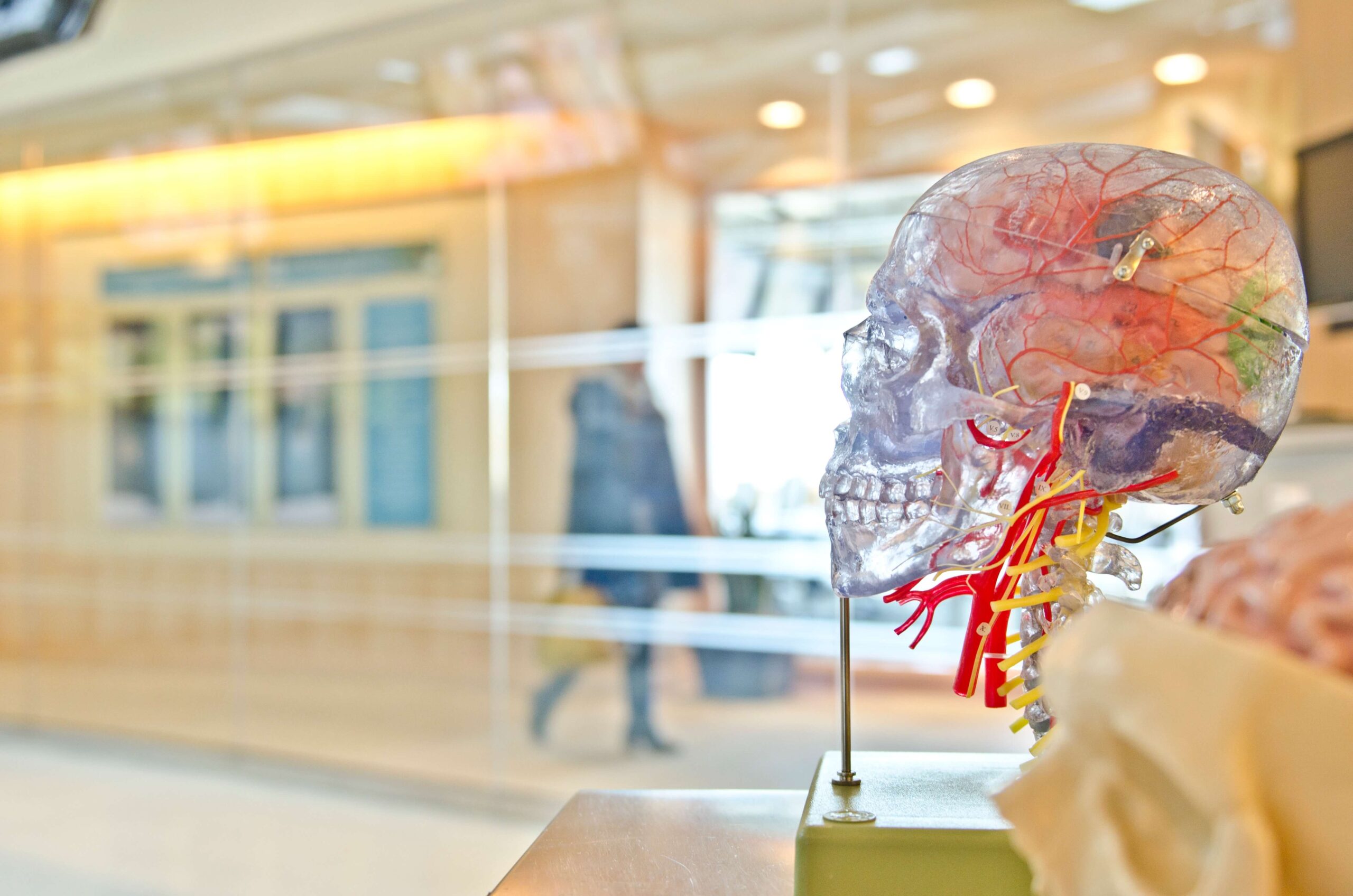Neurology Treatment North Brisbane Australia